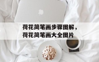 荷花简笔画步骤图解，荷花简笔画大全图片