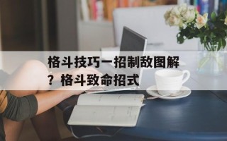 格斗技巧一招制敌图解？格斗致命招式