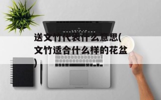 送文竹代表什么意思(文竹适合什么样的花盆)