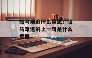 驷马难追什么意思？驷马难追的上一句是什么意思