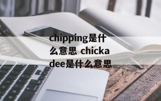 chipping是什么意思 chickadee是什么意思