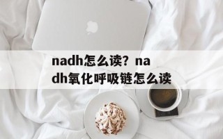 nadh怎么读？nadh氧化呼吸链怎么读