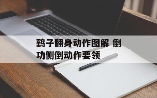 鹞子翻身动作图解 倒功侧倒动作要领