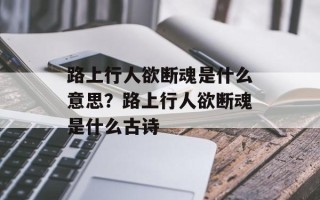 路上行人欲断魂是什么意思？路上行人欲断魂是什么古诗