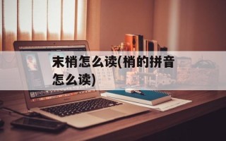 末梢怎么读(梢的拼音怎么读)