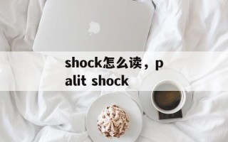 shock怎么读，palit shock
