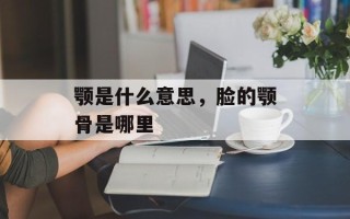 颚是什么意思，脸的颚骨是哪里