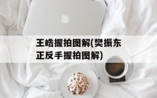 王皓握拍图解(樊振东正反手握拍图解)