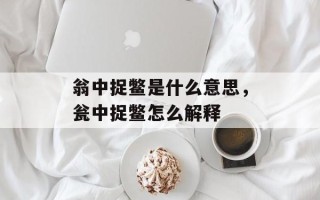翁中捉鳖是什么意思，瓮中捉鳖怎么解释