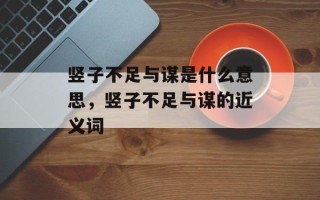 竖子不足与谋是什么意思，竖子不足与谋的近义词