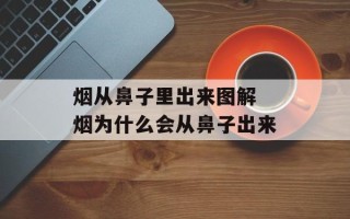烟从鼻子里出来图解 烟为什么会从鼻子出来