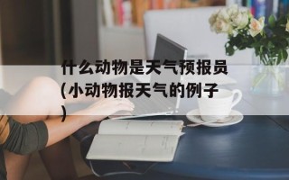 什么动物是天气预报员(小动物报天气的例子)