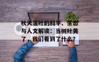 秋天落叶的科学、生态与人文解读：当树叶黄了，我们看到了什么？