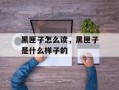 黑匣子怎么读，黑匣子是什么样子的
