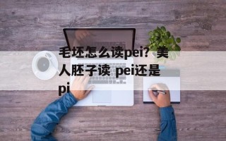 毛坯怎么读pei？美人胚子读 pei还是pi
