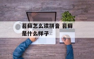 苔藓怎么读拼音 苔藓是什么样子
