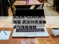 武汉天气2345天气预报 武汉30天准确天气预报视频