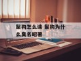 鬣狗怎么读 鬣狗为什么臭名昭著