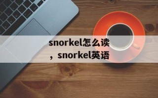 snorkel怎么读，snorkel英语