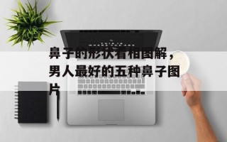 鼻子的形状看相图解，男人最好的五种鼻子图片