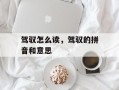 驾驭怎么读，驾驭的拼音和意思