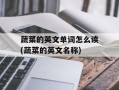 蔬菜的英文单词怎么读(蔬菜的英文名称)