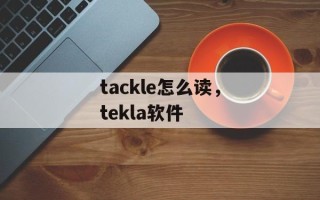 tackle怎么读，tekla软件