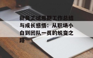 新员工试用期工作总结与成长感悟：从职场小白到团队一员的蜕变之路