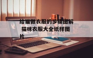 给猫做衣服的步骤图解 猫咪衣服大全纸样图片