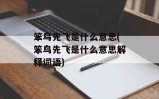 笨鸟先飞是什么意思(笨鸟先飞是什么意思解释词语)