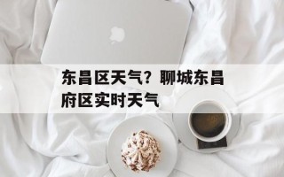 东昌区天气？聊城东昌府区实时天气