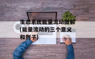生态系统能量流动图解(能量流动的三个意义和例子)