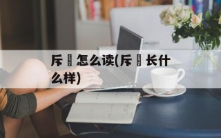 斥鷃怎么读(斥鷃长什么样)