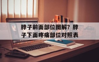 脖子前面部位图解？脖子下面疼痛部位对照表