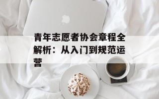 青年志愿者协会章程全解析：从入门到规范运营