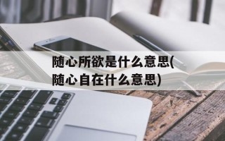随心所欲是什么意思(随心自在什么意思)
