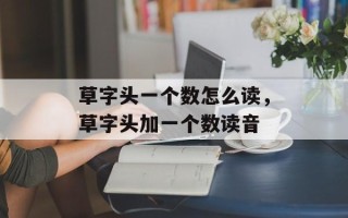 草字头一个数怎么读，草字头加一个数读音