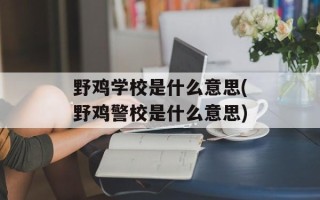 野鸡学校是什么意思(野鸡警校是什么意思)