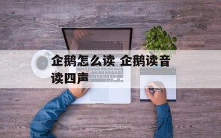 企鹅怎么读 企鹅读音读四声