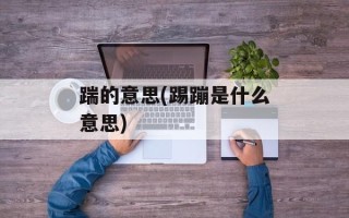 踹的意思(踢蹦是什么意思)