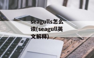 seagulls怎么读(seagull英文解释)