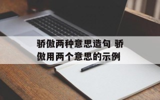 骄傲两种意思造句 骄傲用两个意思的示例