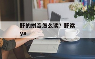 野的拼音怎么读？野读ya