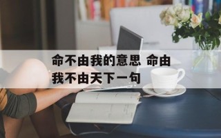 命不由我的意思 命由我不由天下一句