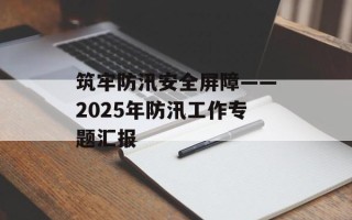 筑牢防汛安全屏障——2025年防汛工作专题汇报