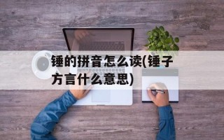 锤的拼音怎么读(锤子方言什么意思)