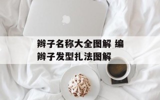 辫子名称大全图解 编辫子发型扎法图解