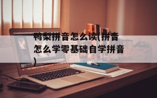鸭梨拼音怎么读(拼音怎么学零基础自学拼音)