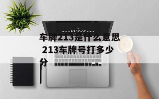 车牌213是什么意思 213车牌号打多少分