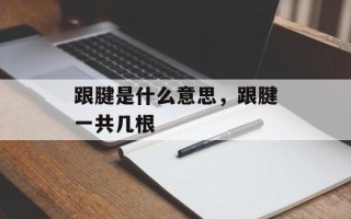 跟腱是什么意思，跟腱一共几根